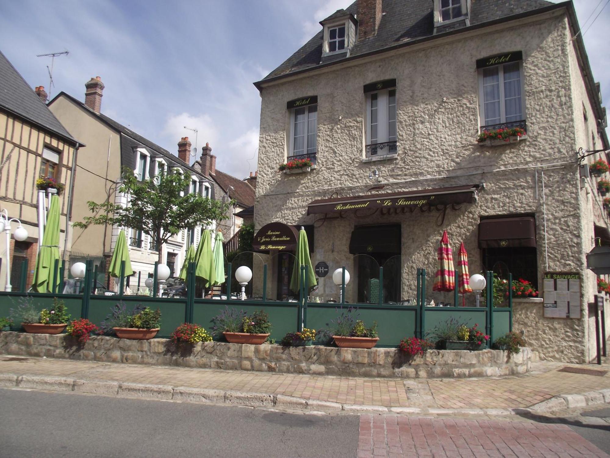 Le Sauvage Château-Renard Exterior foto