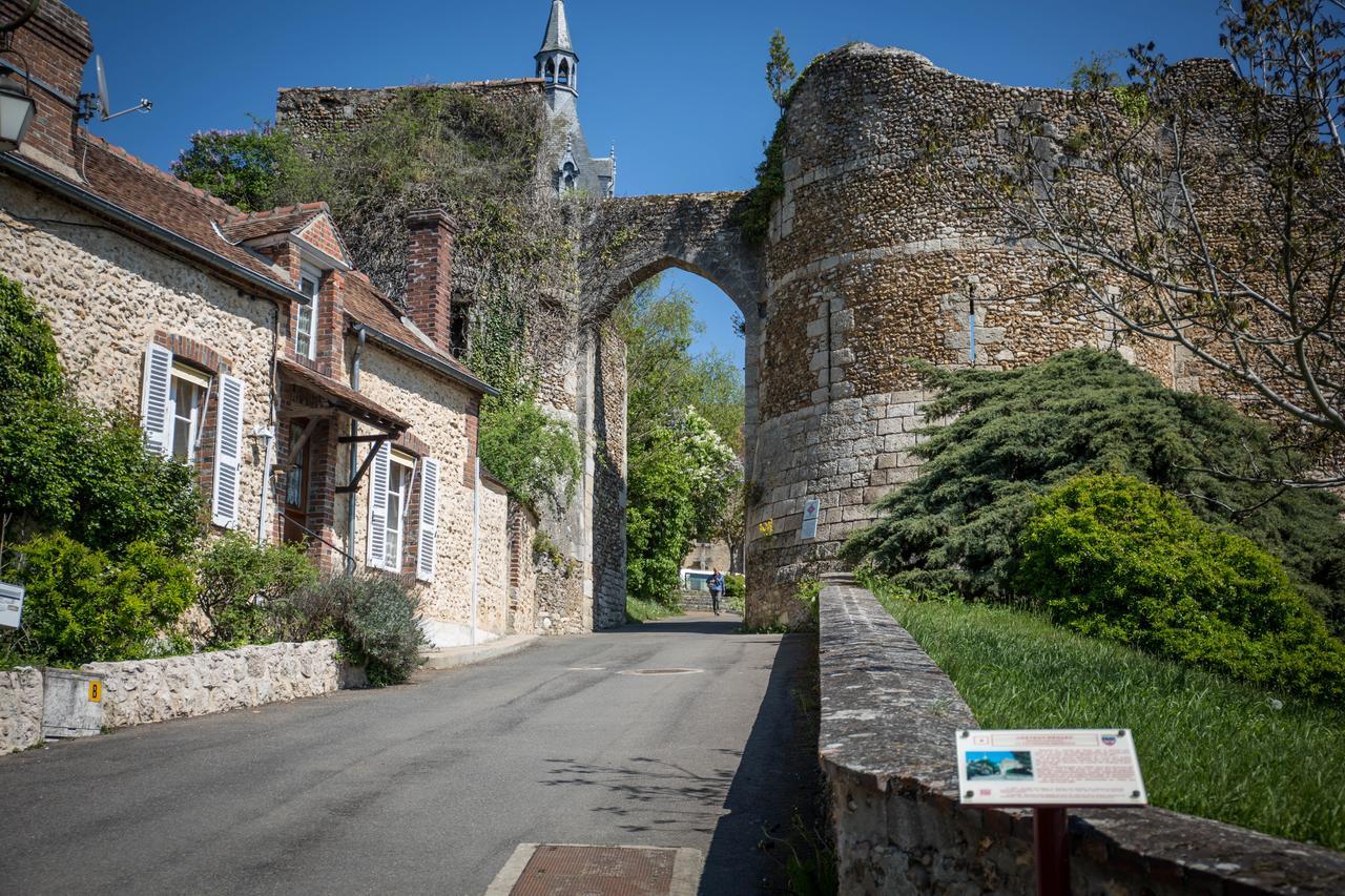Le Sauvage Château-Renard Exterior foto